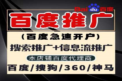 竞价SEM托管服务：成功案例揭秘